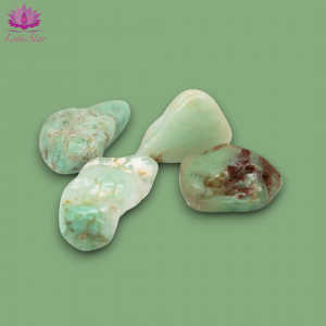 Chrysoprase  - Large - Tumblestone