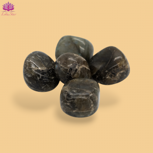 Labradorite - Large - Tumblestone
