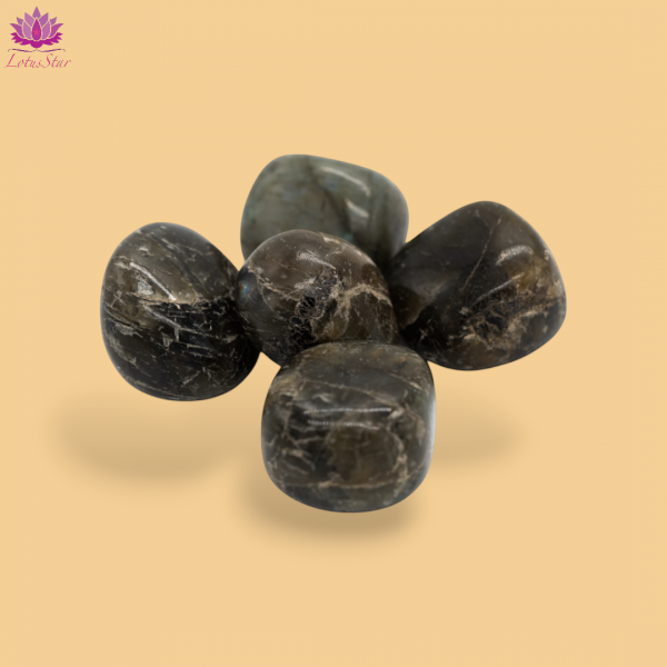 Labradorite - Large - Tumblestone