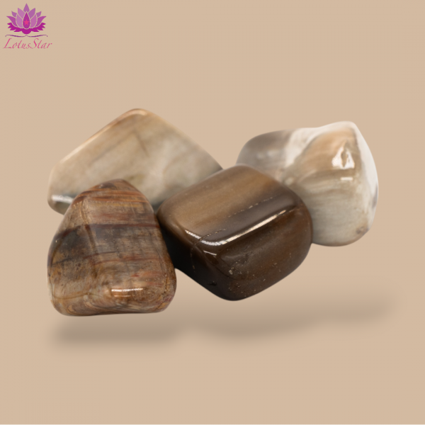Petriﬁed Wood - Medium - Tumblestone