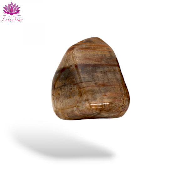 Petriﬁed Wood - Medium - Tumblestone - Image 4