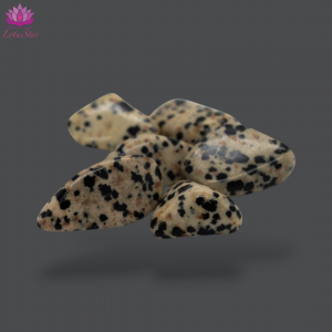Dalmatian Stone Jasper - Medium - Tumblestone