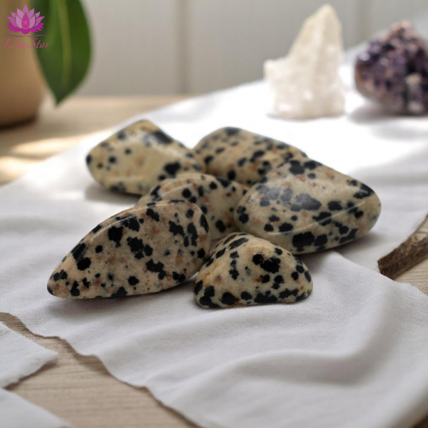 Dalmatian Stone Jasper - Medium - Tumblestone - Image 3