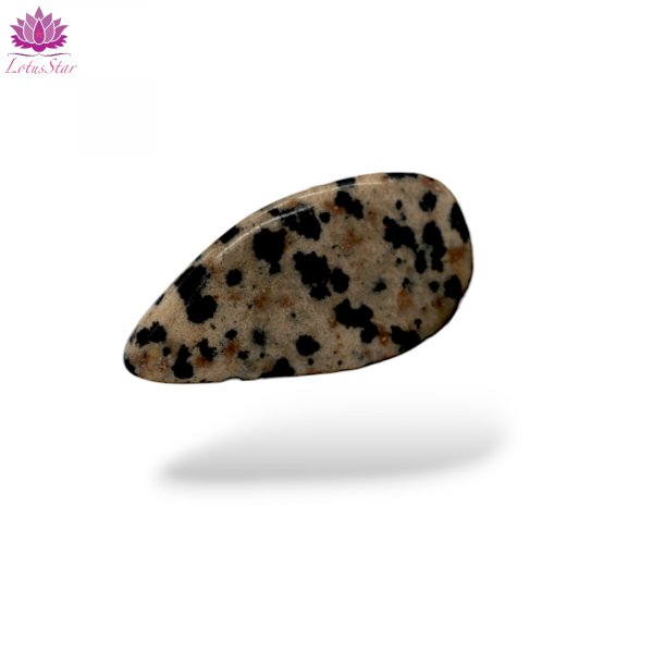 Dalmatian Stone Jasper - Medium - Tumblestone - Image 4