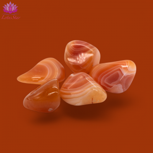 Tumblestones - Medium - Carnelian