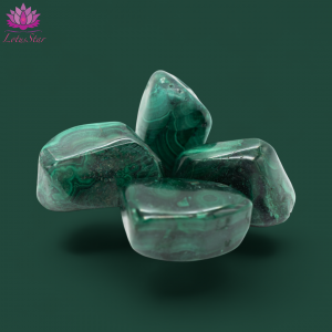 Tumblestones - XL - Malachite A-Grade 2509