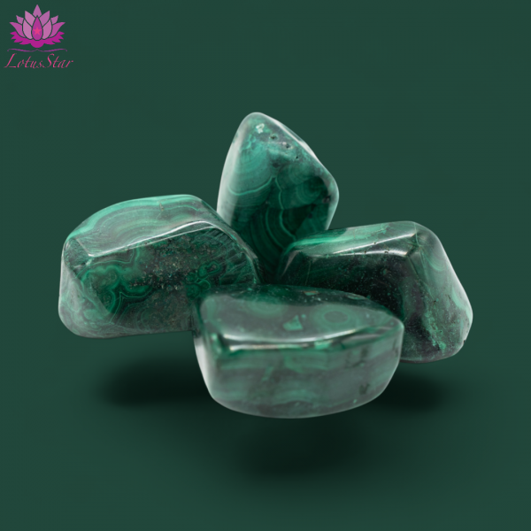 Tumblestones - XL - Malachite A-Grade 2509